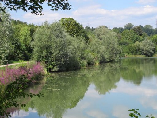 Hüttensee