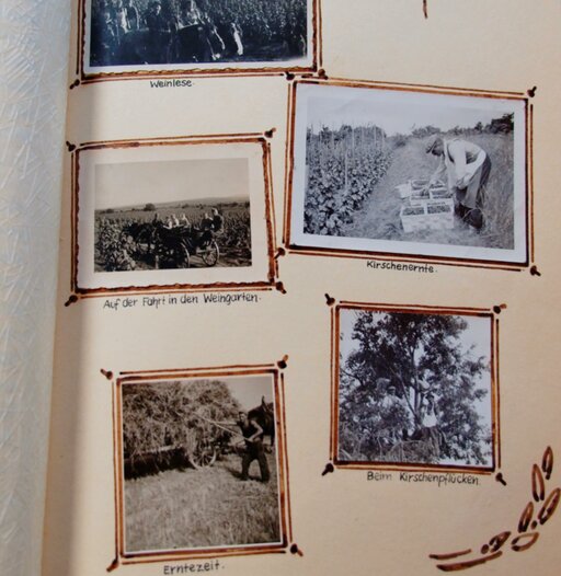 Blick ins alte Fotoalbum