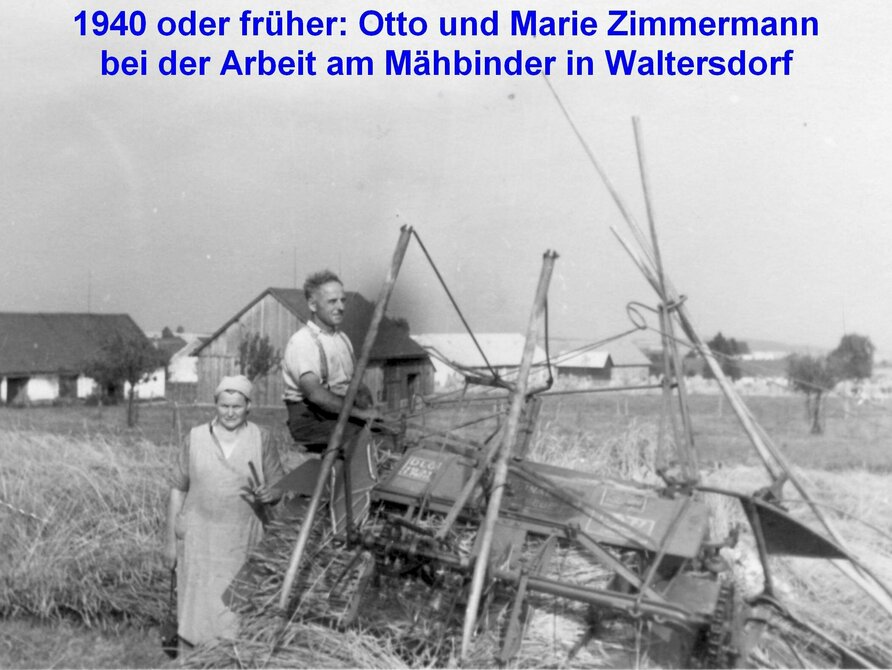 Eine Frau und ein Mann bei der Ernte
